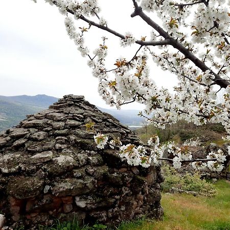Apartamento Rural Amaluna El Torno  Extérieur photo