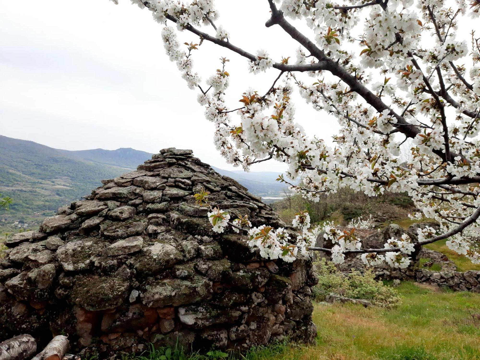 Apartamento Rural Amaluna El Torno  Extérieur photo
